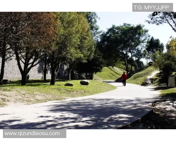 西安羽毛球队的节奏探秘与巨献之旅全景揭秘